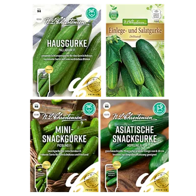 Saatgut Set 'Gurken' Saatgut Set 'Gurken'