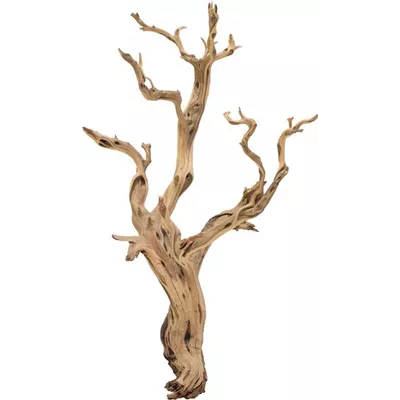 fleur ami Ghostwood fleur ami Ghostwood