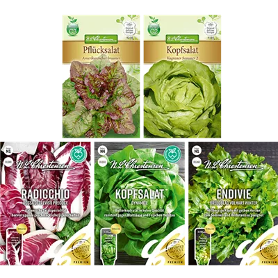 Saatgut Set 'Salat'  Saatgut Set 'Salat'