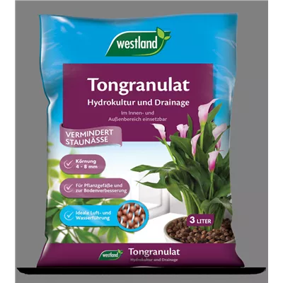 Westland Tongranulat Westland Tongranulat