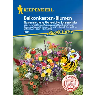 Balkonkastenmischung Balkonkastenmischung