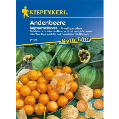 Andenbeere Andenbeere