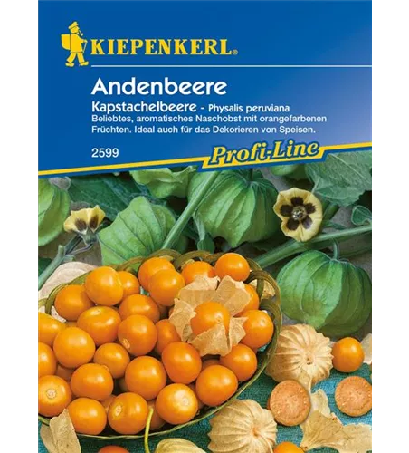 Andenbeere Andenbeere