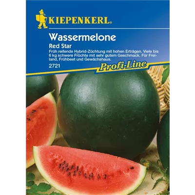 Wassermelone 'Red Star' Wassermelone 'Red Star'