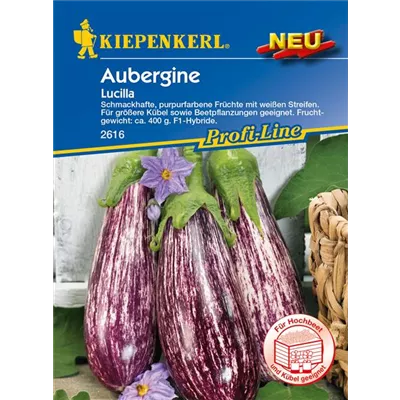 Aubergine 'Lucilla' Aubergine 'Lucilla'