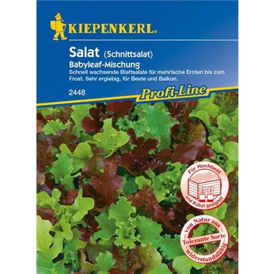 Babyleaf-Salat Babyleaf-Salat