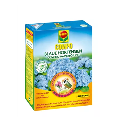 Compo Blaue Hortensien 