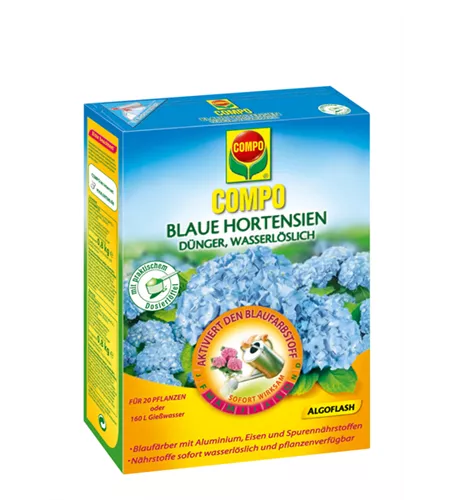 Compo Blaue Hortensien  Compo Blaue Hortensien