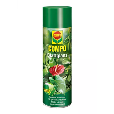 Compo Blattglanz  Compo Blattglanz