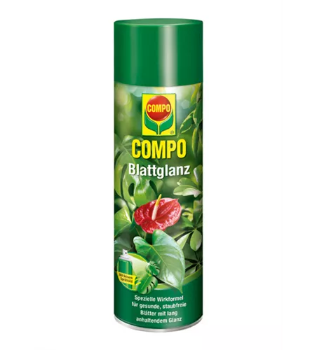 Compo Blattglanz  Compo Blattglanz