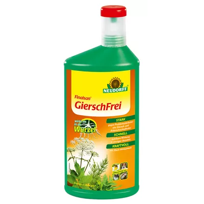 Finalsan GierschFrei Finalsan GierschFrei