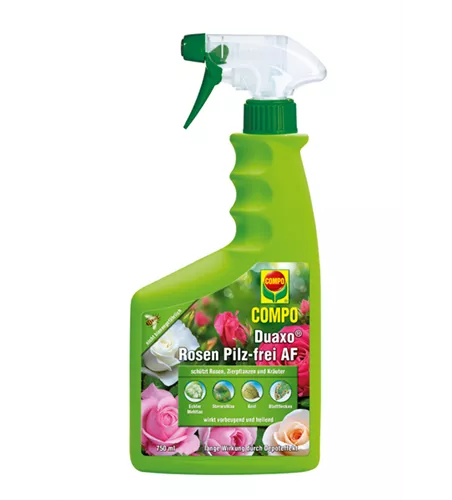 Compo Duaxo Rosen Pilz-frei AF  Compo Duaxo Rosen Pilz-frei AF