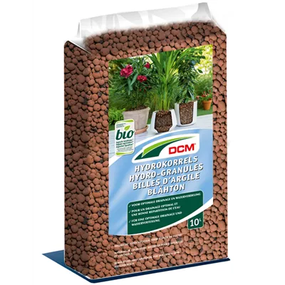 Cuxin Blähton Cuxin Blähton