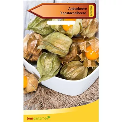 Andenbeere Andenbeere