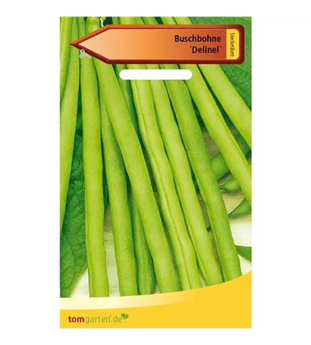 Busch-Bohne 'Delinel'