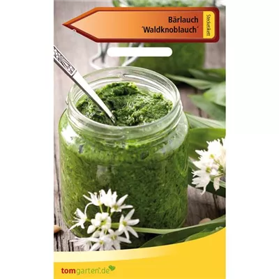 Bärlauch 'Waldknoblauch' Bärlauch 'Waldknoblauch'