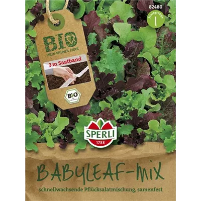 Babyleaf-Salat Babyleaf-Salat