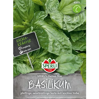 Basilikum 'Italian Star' Basilikum 'Italian Star'