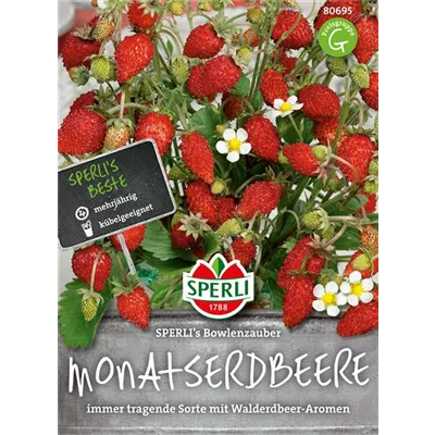 Monatserdbeere 'Bowlenzauber' Monatserdbeere 'Bowlenzauber'