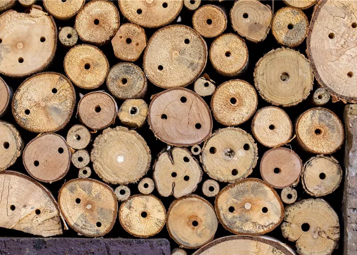 Naturschutz Naturschutz