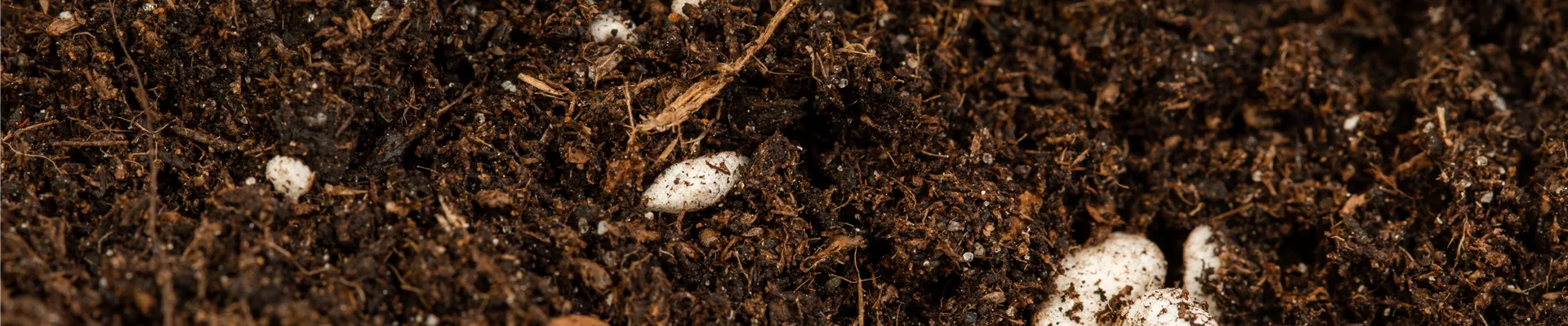 Anzucht- und Kräutererde Anzucht- und Kräutererde