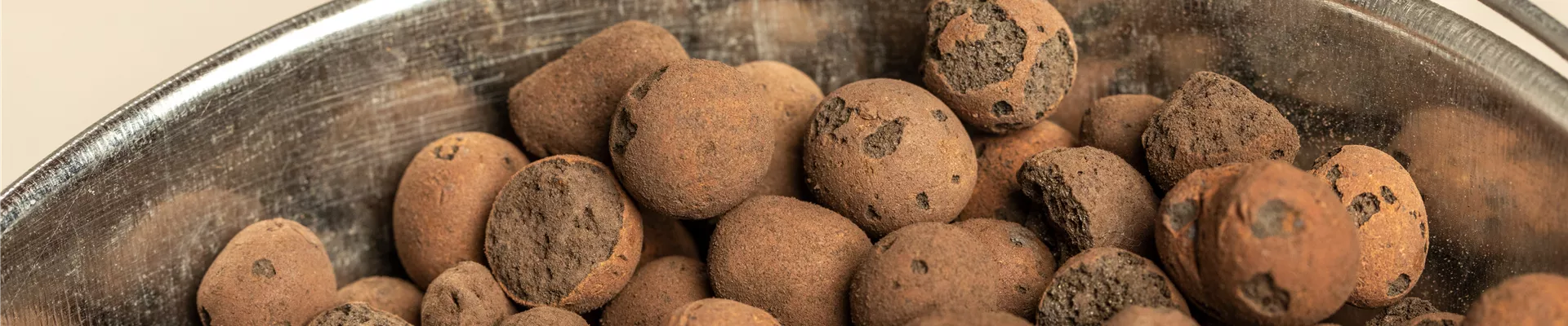 Blähton in Eimer Blähton in Eimer