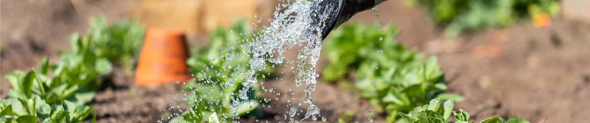 2020-8-12.8-32.GS660133_ 2020-8-12.8-32.GS660133_