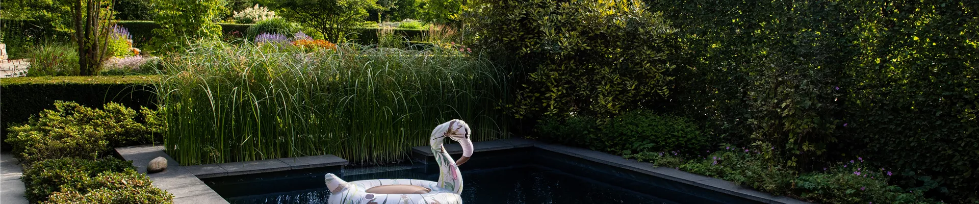 Gartenimpression - Poolanlage Gartenimpression - Poolanlage