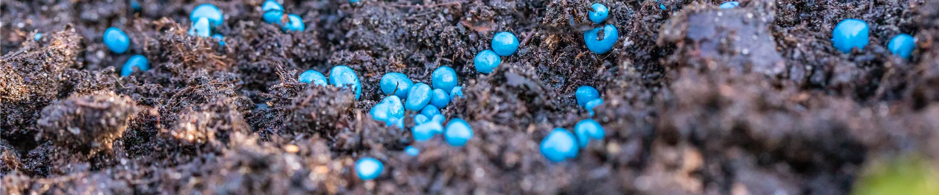 Dünger - Blaukorn Dünger - Blaukorn