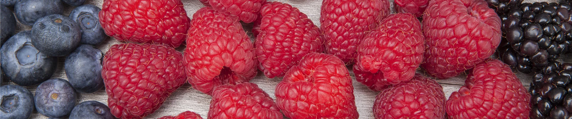 Rubus idaeus Rubus idaeus