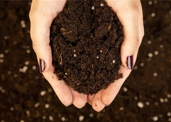 Gartenerden Gartenerden