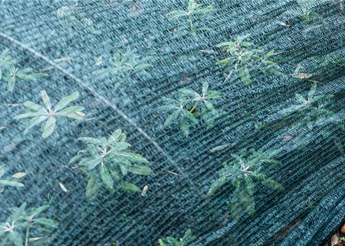 Gartenpflege Gartenpflege