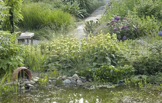 Der Naturgarten - Ausgleich zum Arbeitsalltag