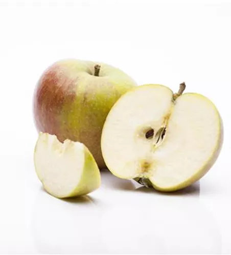 Apfel 'Cox Orangenrenette' Apfel 'Cox Orangenrenette'