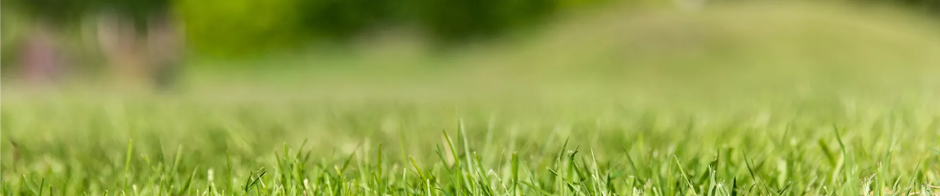 Gartenarbeit - gemähter Rasen Gartenarbeit - gemähter Rasen