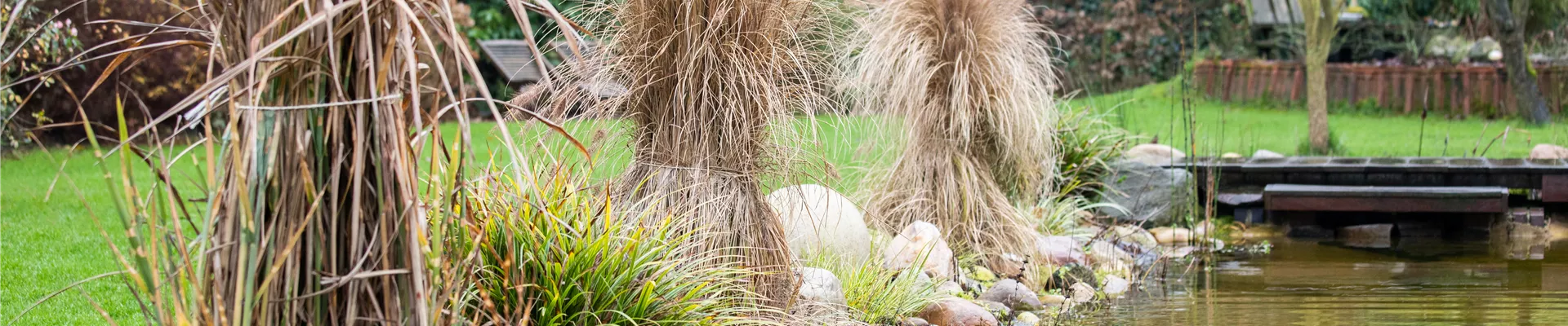 Wintervorbereitung - gebundene Gräser Wintervorbereitung - gebundene Gräser