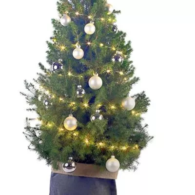 Weihnachtsbäumchen - silber Weihnachtsbäumchen - silber