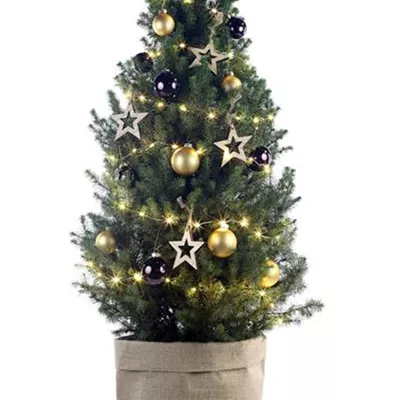 Weihnachtsbäumchen - gold-braun Weihnachtsbäumchen - gold-braun