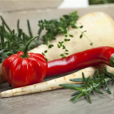 Habanero Chili 'Calita® Red' Habanero Chili 'Calita® Red'