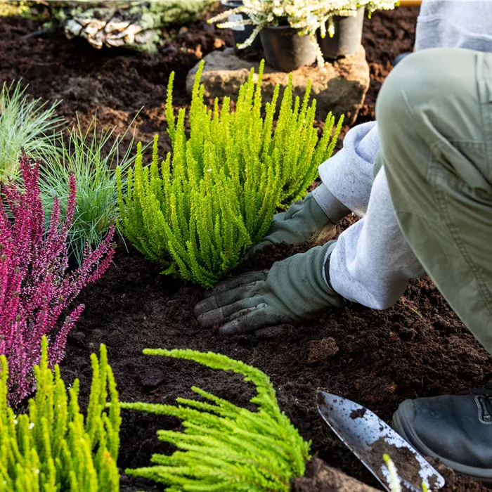 Stellenangebote Stellenangebote